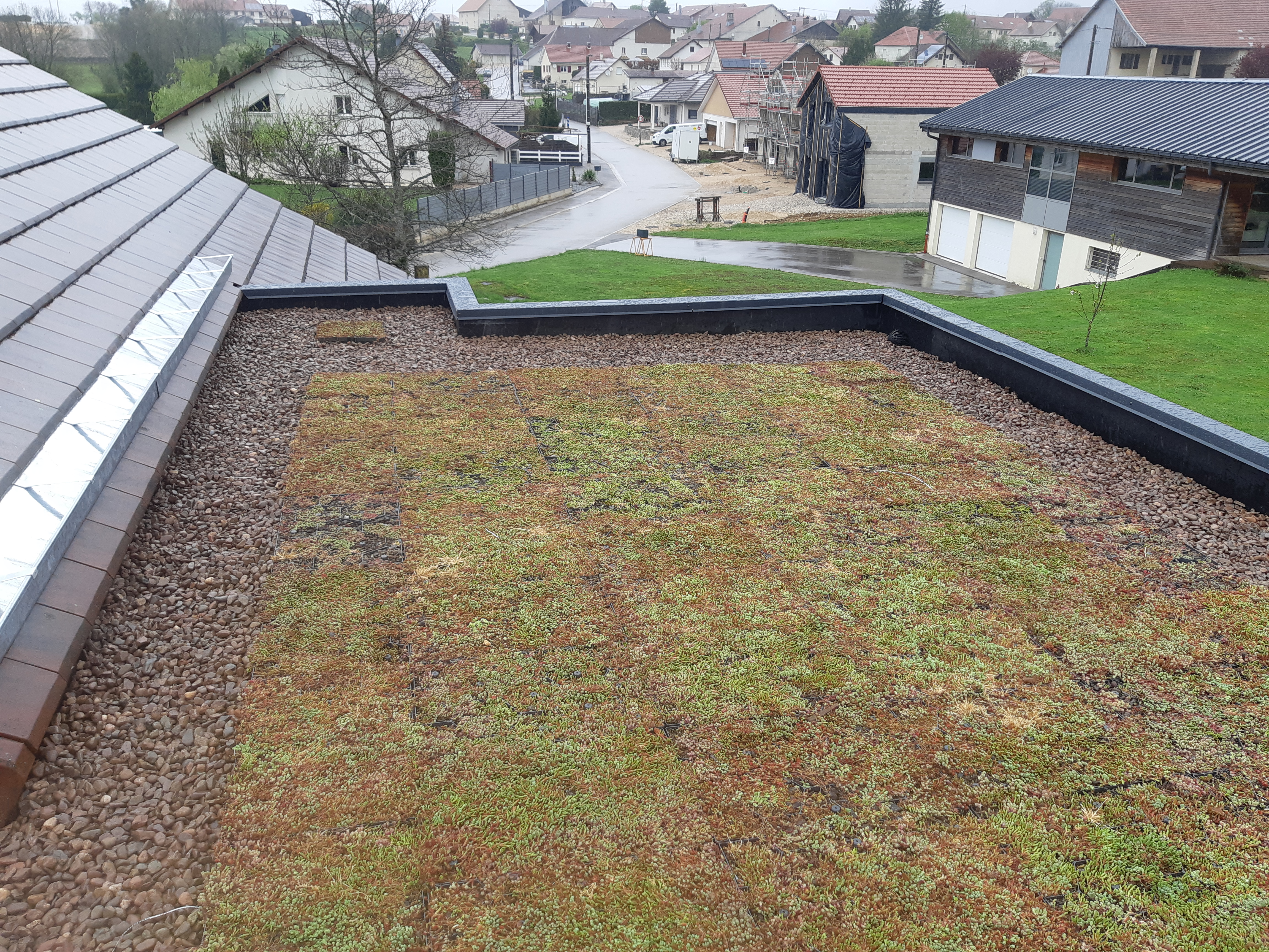 Toitures végétalisées à Besançon, Gray et Les Auxons : une solution d’étanchéité durable pour les professionnels ?