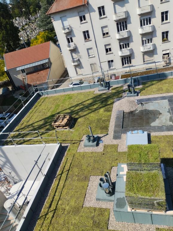 Toiture végétalisée à Besançon, Pontarlier et Belfort : une solution durable pour protéger son bâtiment ?